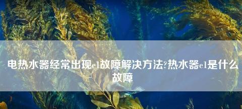 夏普热水器常见故障及解决方法（掌握这些故障处理技巧）