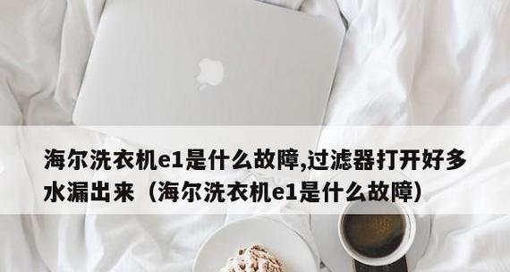 威力洗衣机故障代码E1的含义及维修方法详解（了解威力洗衣机故障代码E1的原因和解决方案）